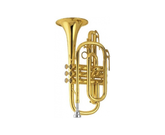  - 13284 за 0 грн. | 4Club